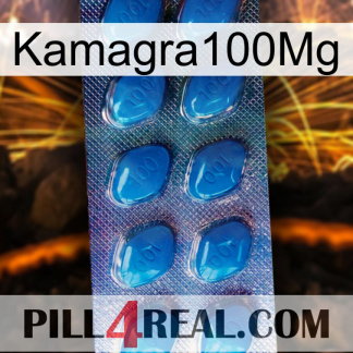 Kamagra100Mg viagra1